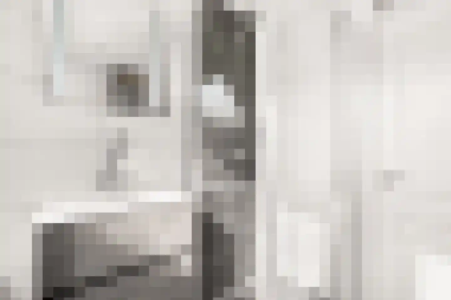 Duifkruid 33 Swifterbant thumbnail 21