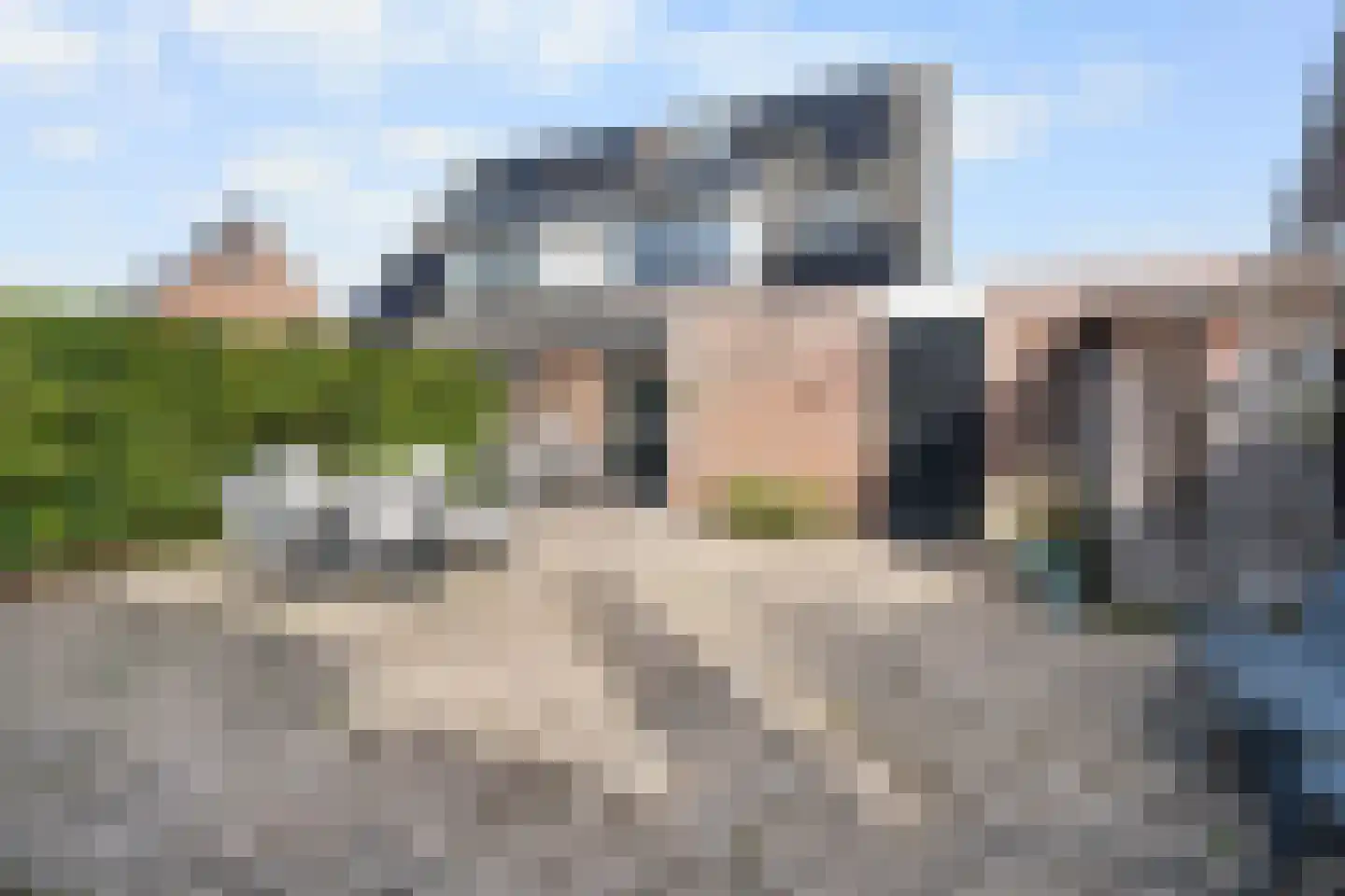 Duifkruid 33 Swifterbant thumbnail 27