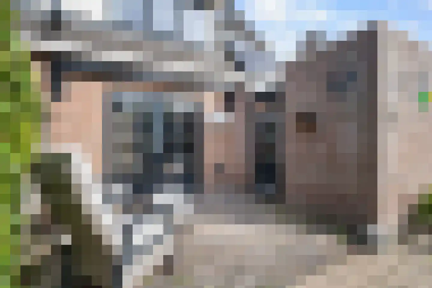 Duifkruid 33 Swifterbant thumbnail 29