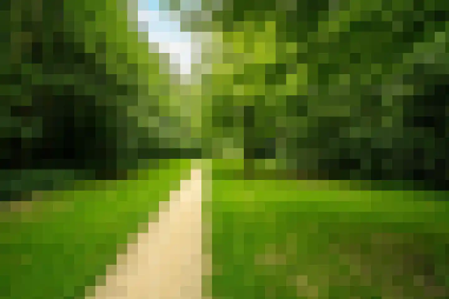 Duifkruid 33 Swifterbant thumbnail 30
