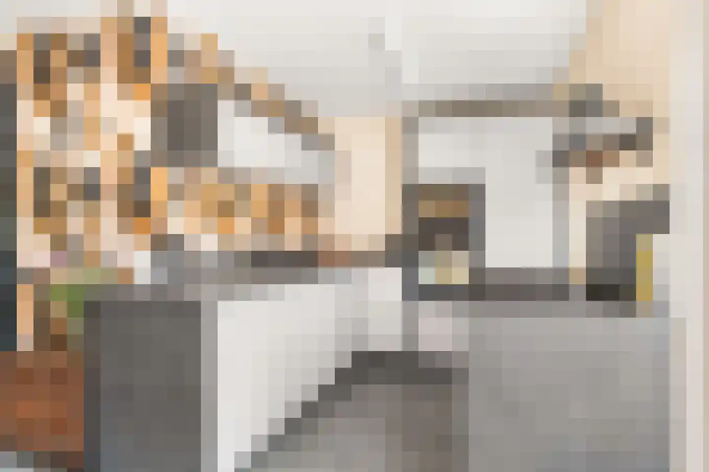 Duifkruid 33 Swifterbant thumbnail 4