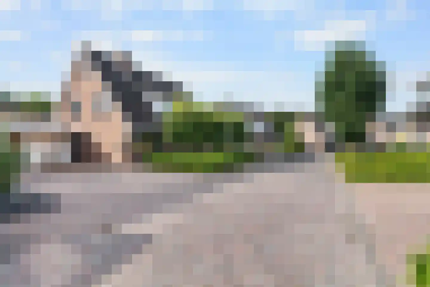 Duifkruid 33 Swifterbant thumbnail 7