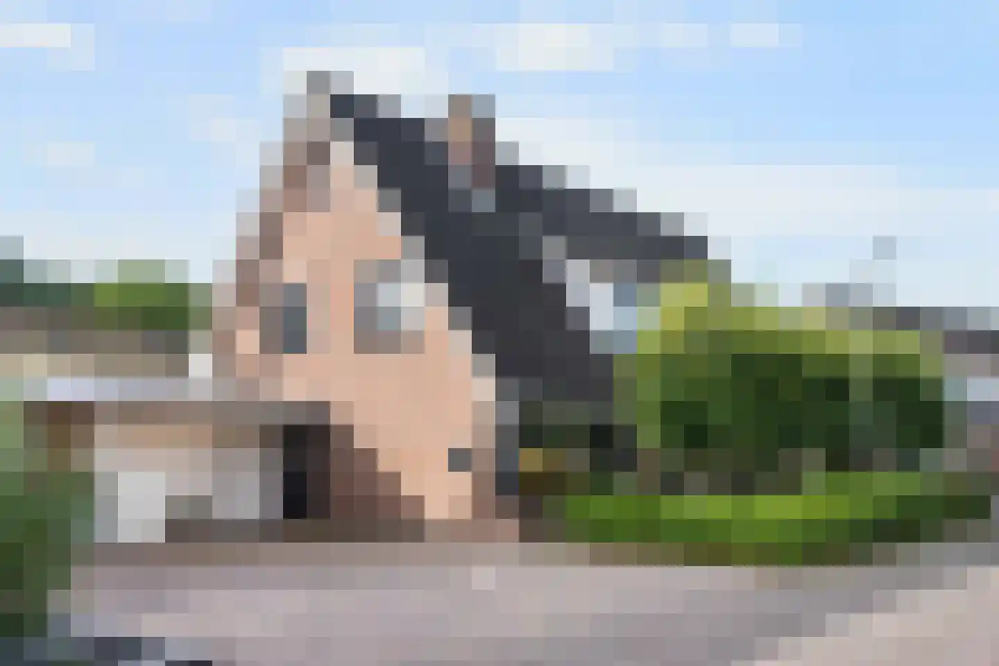 Duifkruid 33 Swifterbant thumbnail 8
