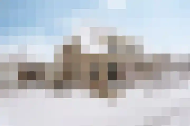 Duifkruid 36 in Swifterbant