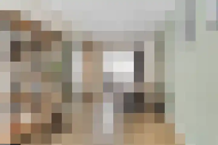 Duifkruid 36 Swifterbant thumbnail 12