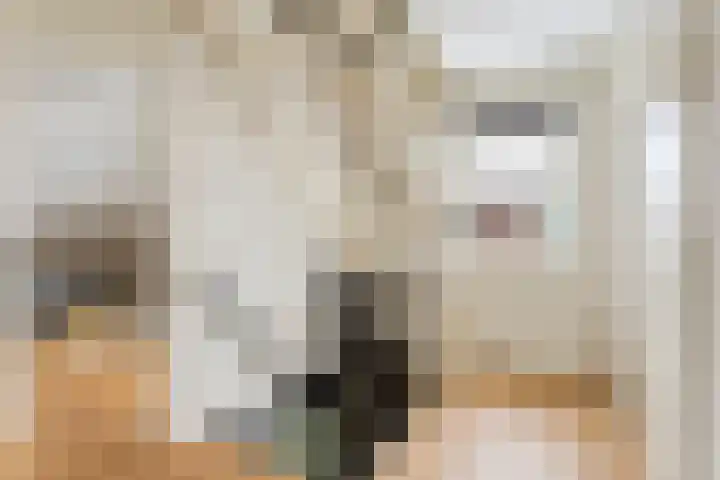 Duifkruid 36 Swifterbant thumbnail 19