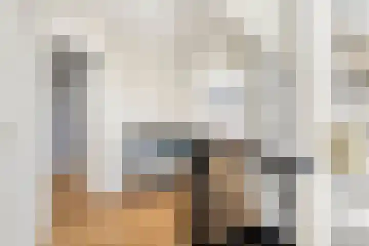 Duifkruid 36 Swifterbant thumbnail 20