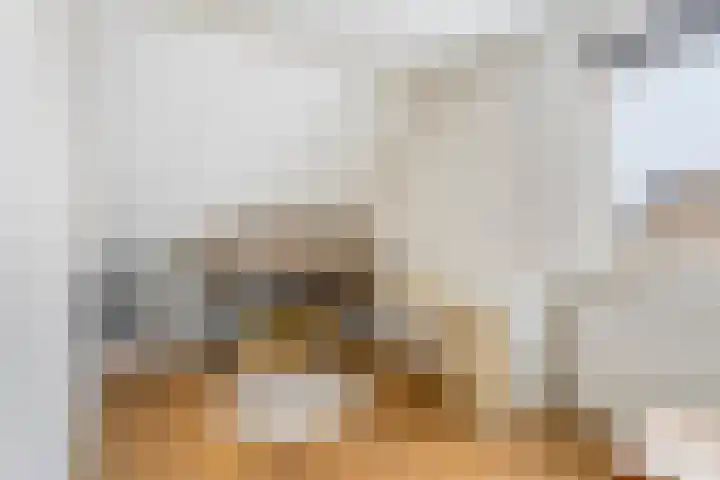 Duifkruid 36 Swifterbant thumbnail 23