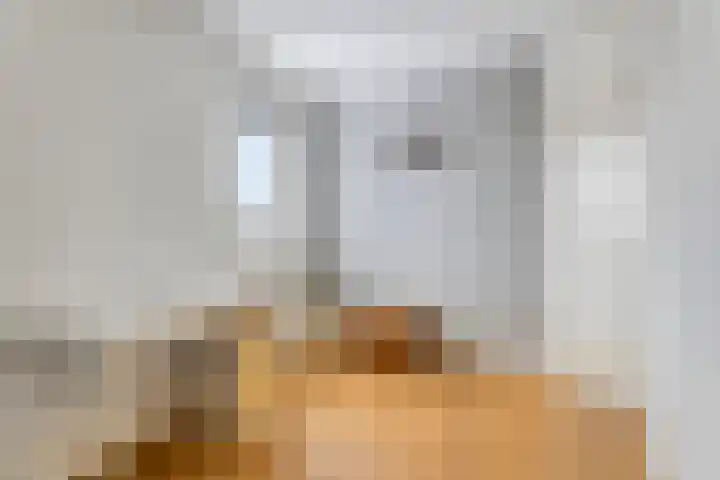 Duifkruid 36 Swifterbant thumbnail 24