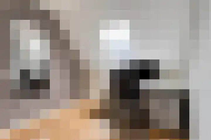 Duifkruid 36 Swifterbant thumbnail 25