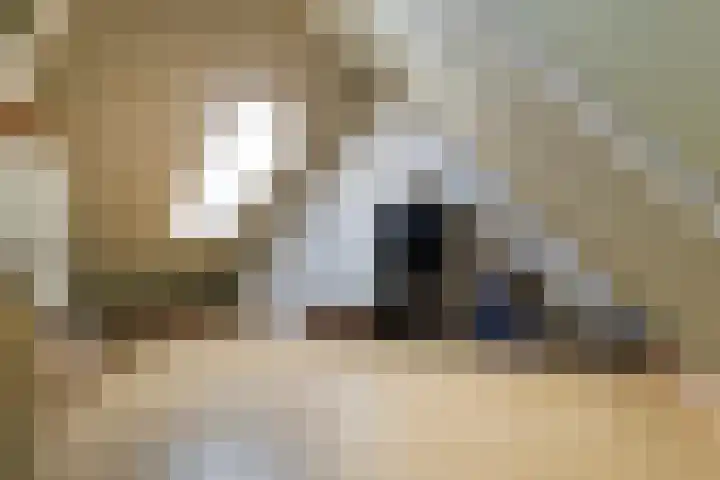 Duifkruid 36 Swifterbant thumbnail 29