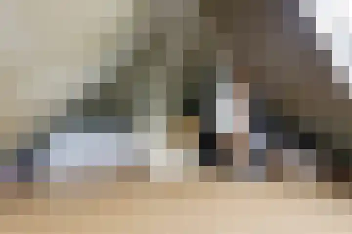 Duifkruid 36 Swifterbant thumbnail 30
