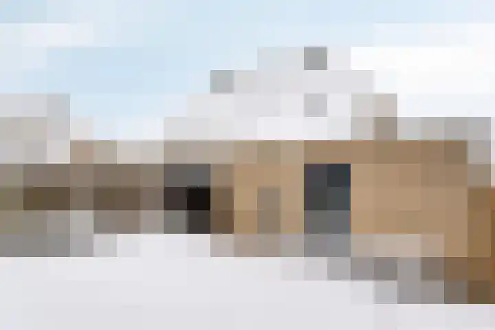 Duifkruid 36 Swifterbant thumbnail 35