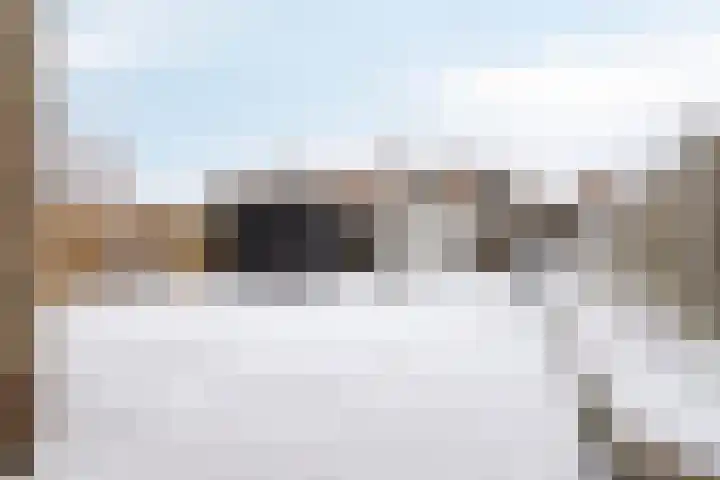 Duifkruid 36 Swifterbant thumbnail 37