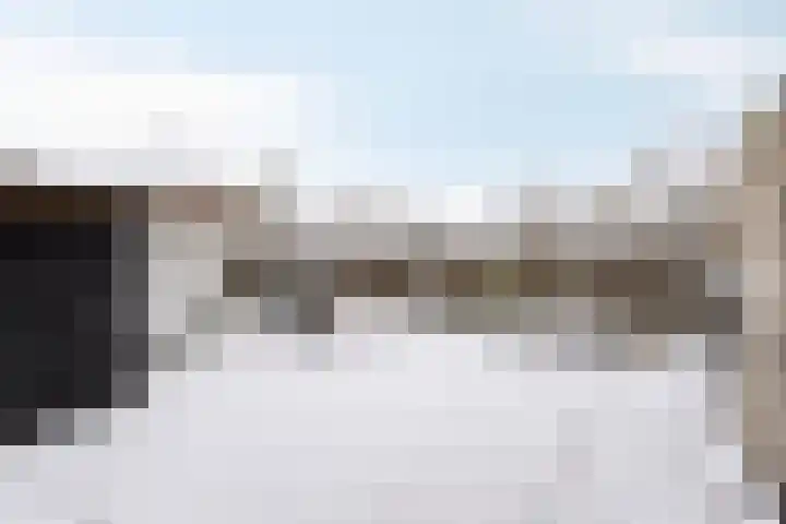 Duifkruid 36 Swifterbant thumbnail 38
