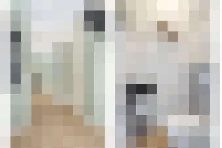 Duifkruid 36 Swifterbant thumbnail 6