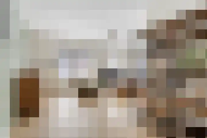 Duifkruid 36 Swifterbant thumbnail 7