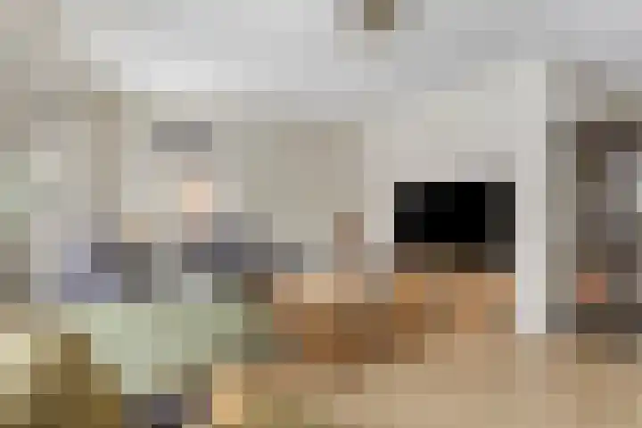 Duifkruid 36 Swifterbant thumbnail 9