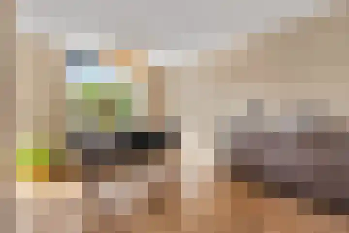 Duifkruid 37 Tiel thumbnail 10