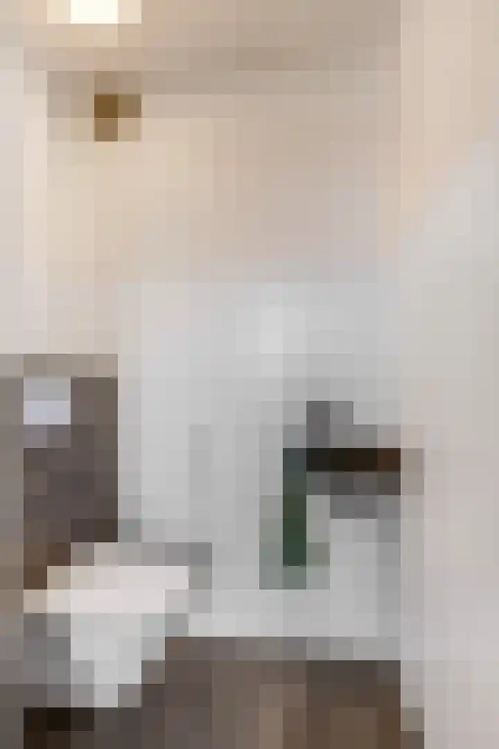 Duifkruid 37 Tiel thumbnail 18
