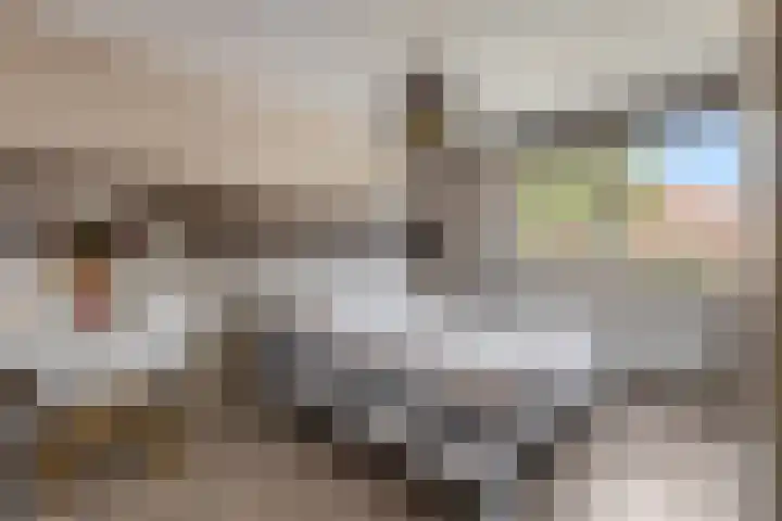 Duifkruid 37 Tiel thumbnail 19