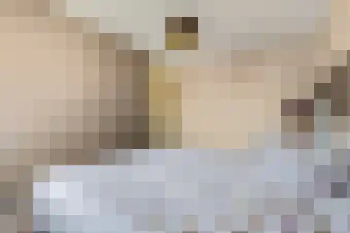 Duifkruid 37 Tiel thumbnail 20