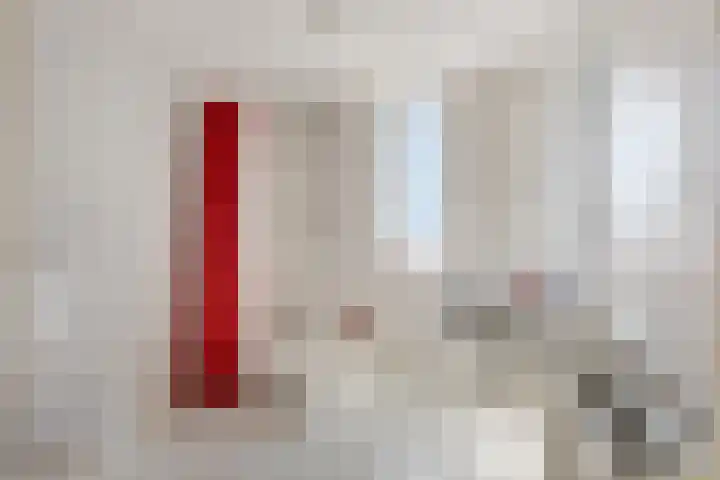 Duifkruid 37 Tiel thumbnail 23
