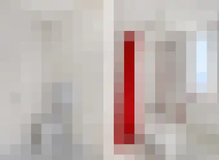 Duifkruid 37 Tiel thumbnail 24