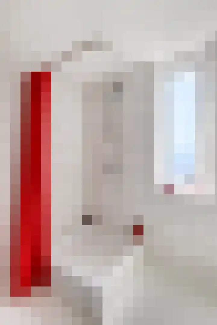 Duifkruid 37 Tiel thumbnail 25