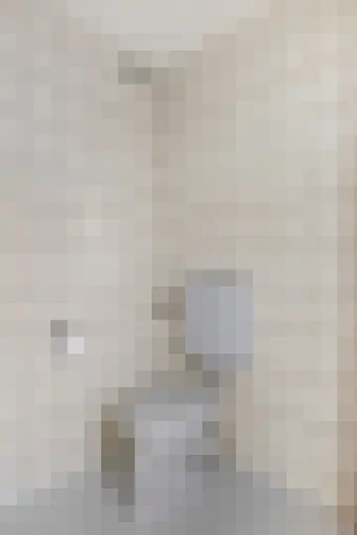 Duifkruid 37 Tiel thumbnail 26