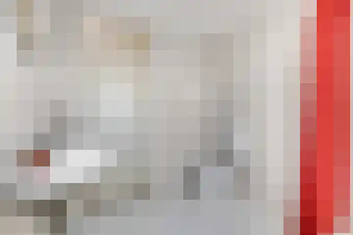 Duifkruid 37 Tiel thumbnail 27