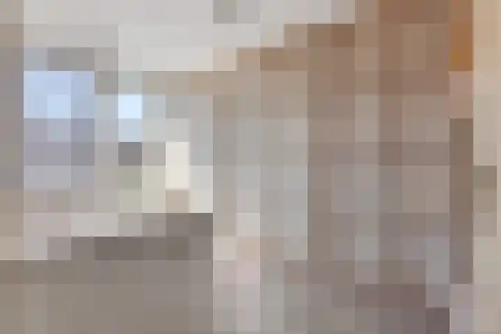 Duifkruid 37 Tiel thumbnail 28