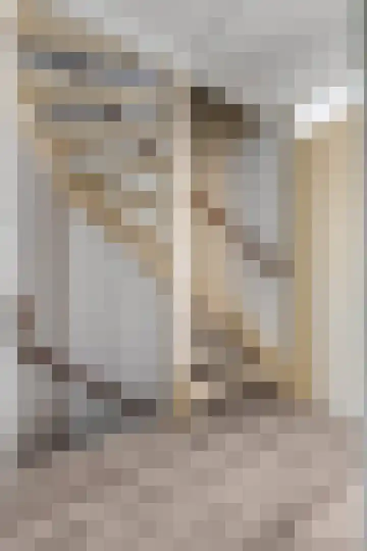 Duifkruid 37 Tiel thumbnail 30