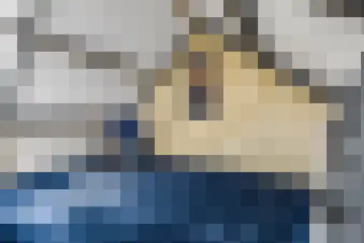 Duifkruid 37 Tiel thumbnail 31