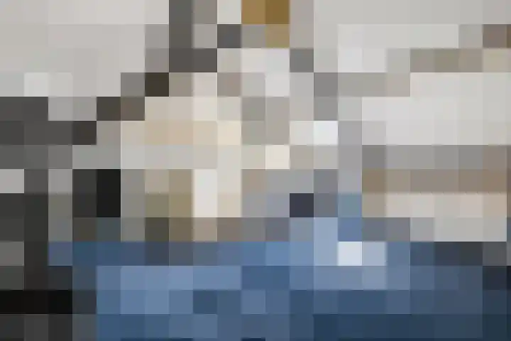 Duifkruid 37 Tiel thumbnail 32