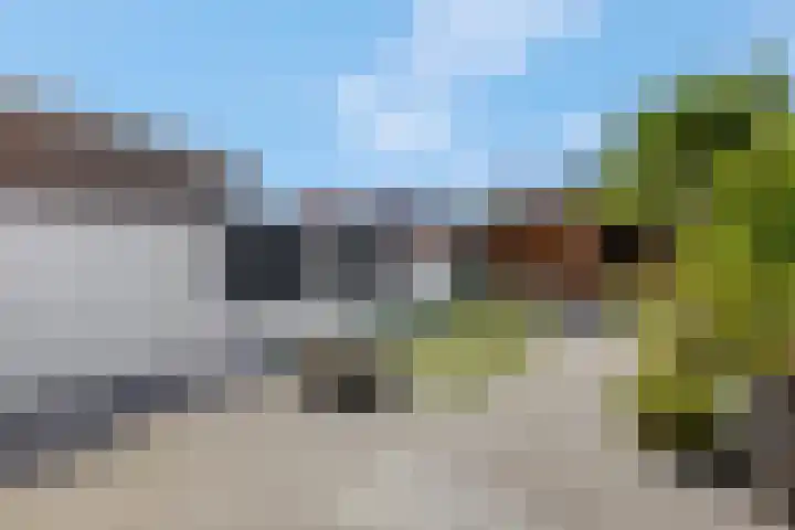 Duifkruid 37 Tiel thumbnail 33