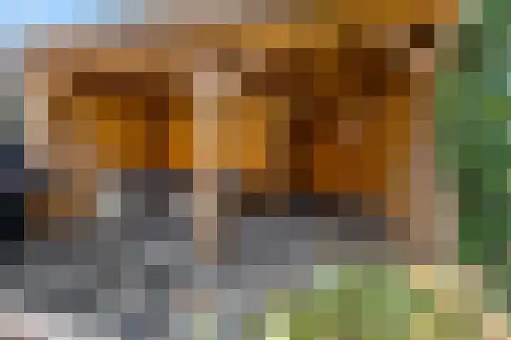Duifkruid 37 Tiel thumbnail 34