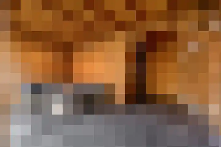 Duifkruid 37 Tiel thumbnail 35