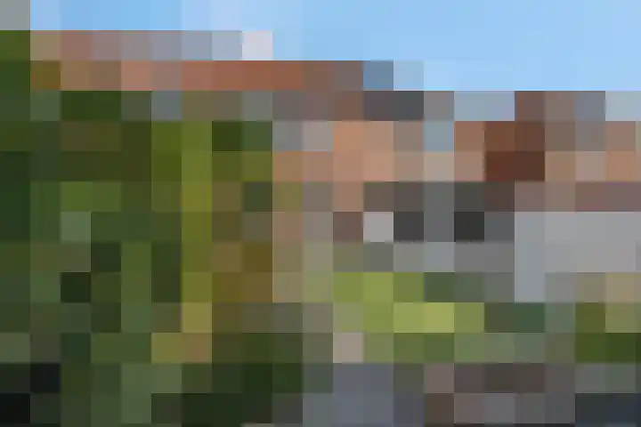 Duifkruid 37 Tiel thumbnail 36