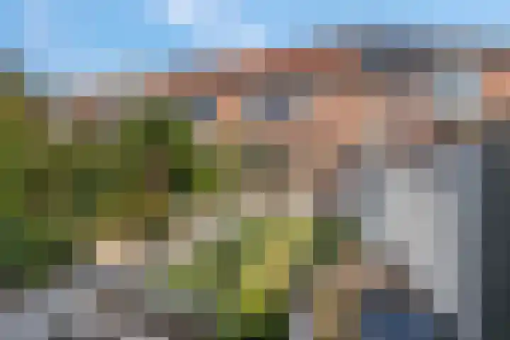 Duifkruid 37 Tiel thumbnail 37