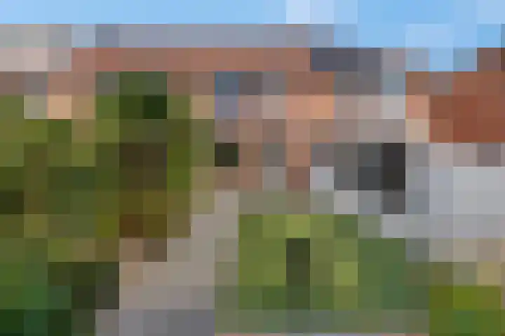 Duifkruid 37 Tiel thumbnail 38