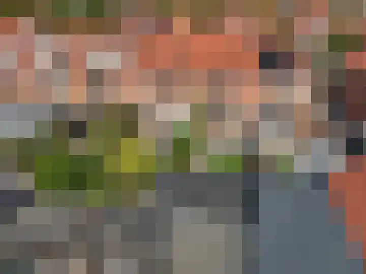 Duifkruid 37 Tiel thumbnail 39
