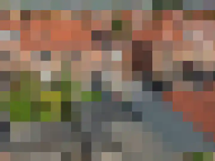 Duifkruid 37 Tiel thumbnail 40