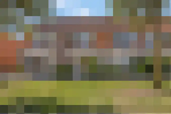 Duifkruid 37 Tiel thumbnail 41
