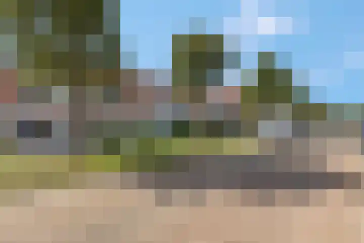 Duifkruid 37 Tiel thumbnail 42