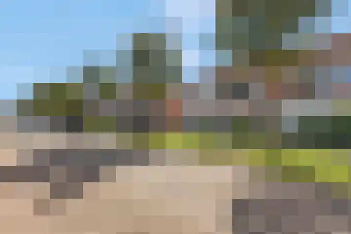 Duifkruid 37 Tiel thumbnail 43