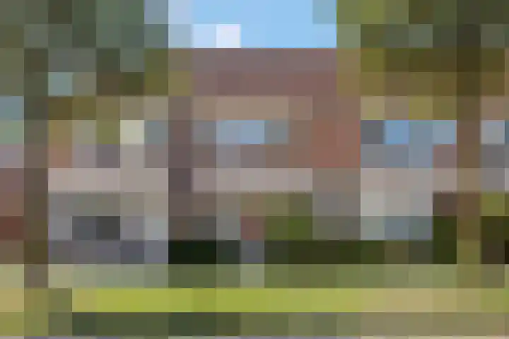 Duifkruid 37 Tiel thumbnail 44