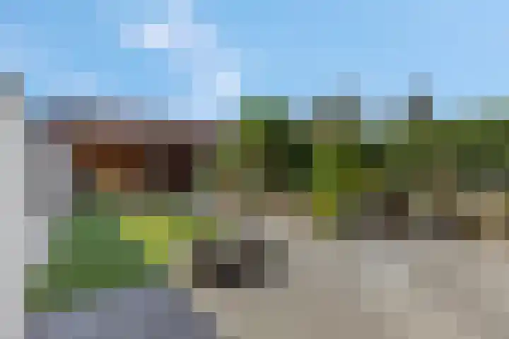 Duifkruid 37 Tiel thumbnail 5