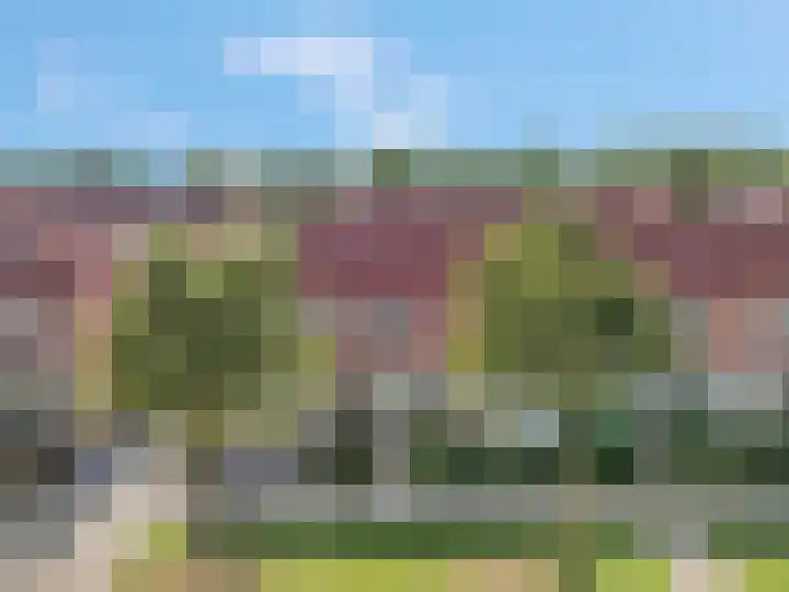 Duifkruid 37 Tiel thumbnail 6