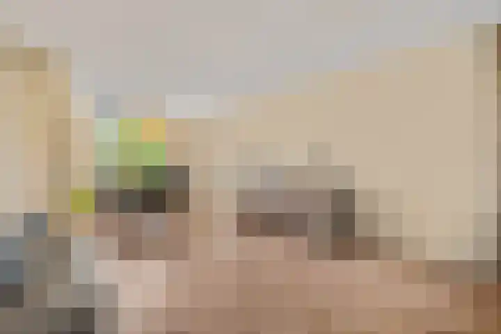 Duifkruid 37 Tiel thumbnail 8